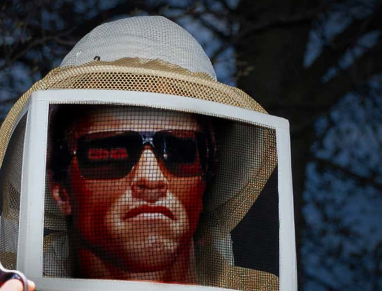 Animals In Warfare facts