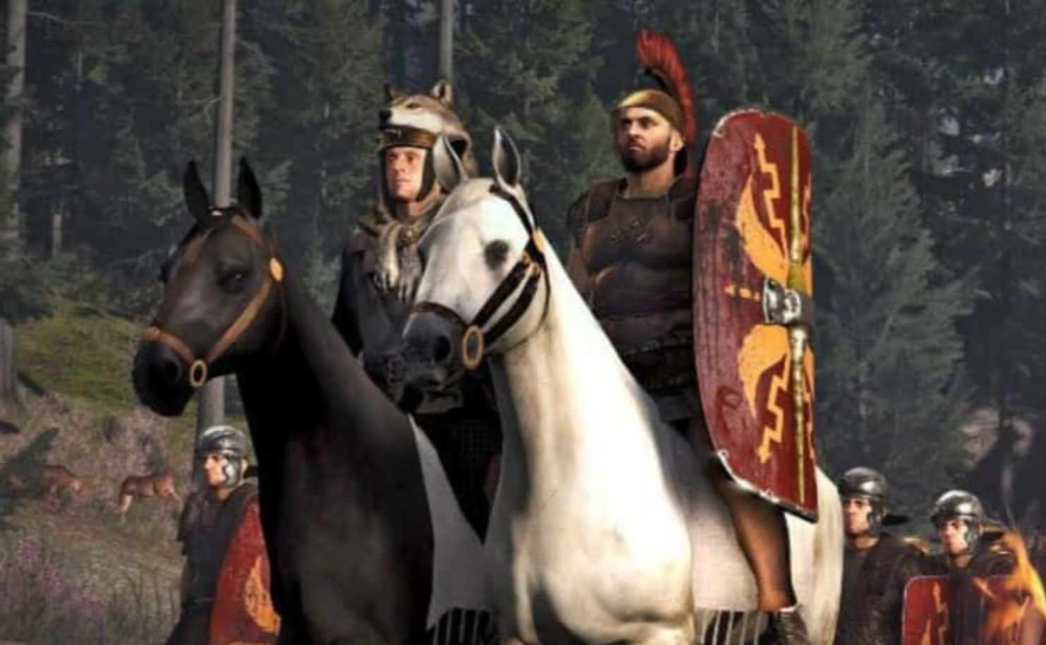 Animals In Warfare facts