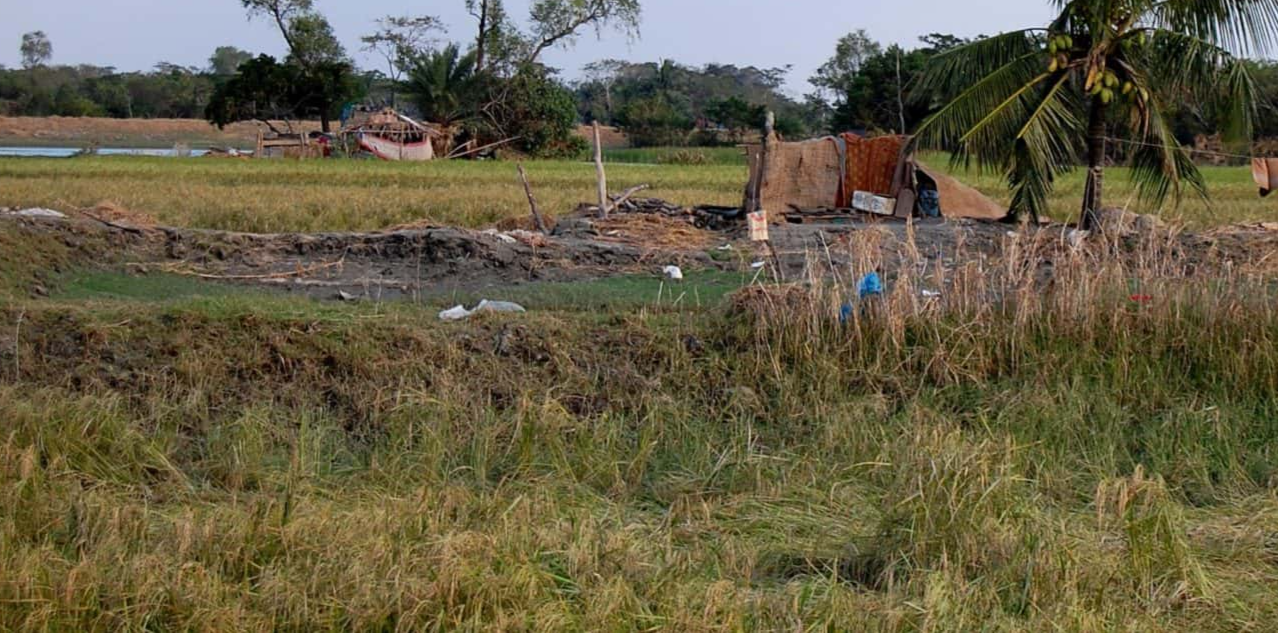 Natural Disasters Facts