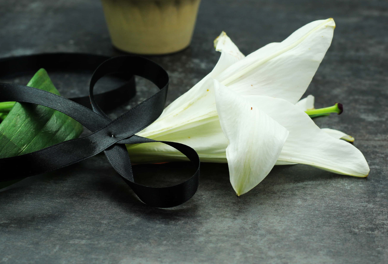 Jason Bourne Movies facts