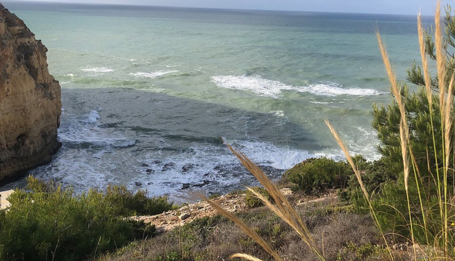 Photography of Atlantic ocean sea shore with rocks and plants