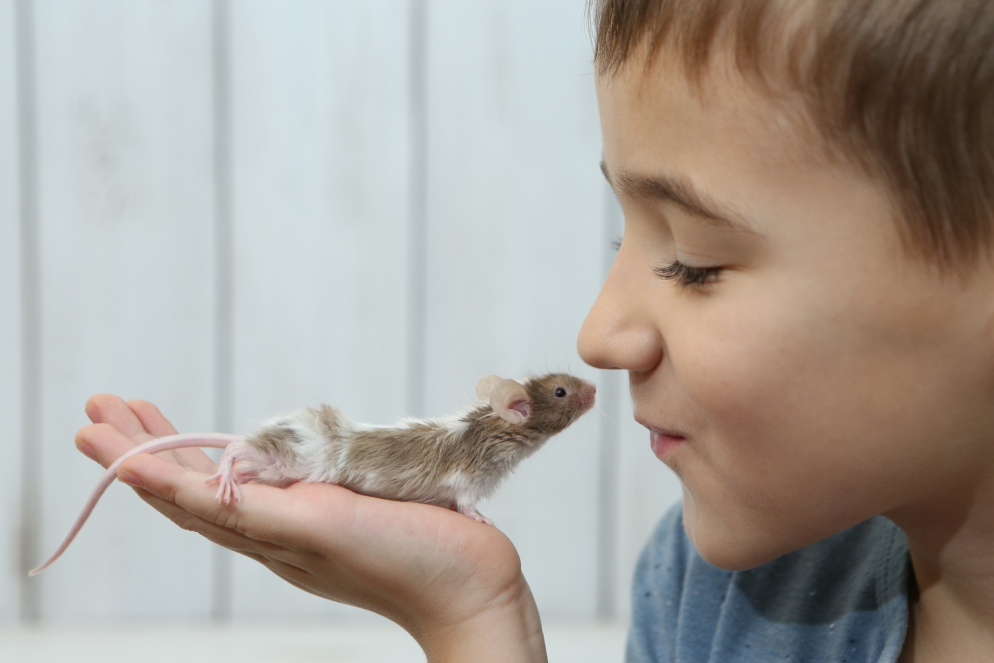 Kid is holding a mouse in his hand and smiling.