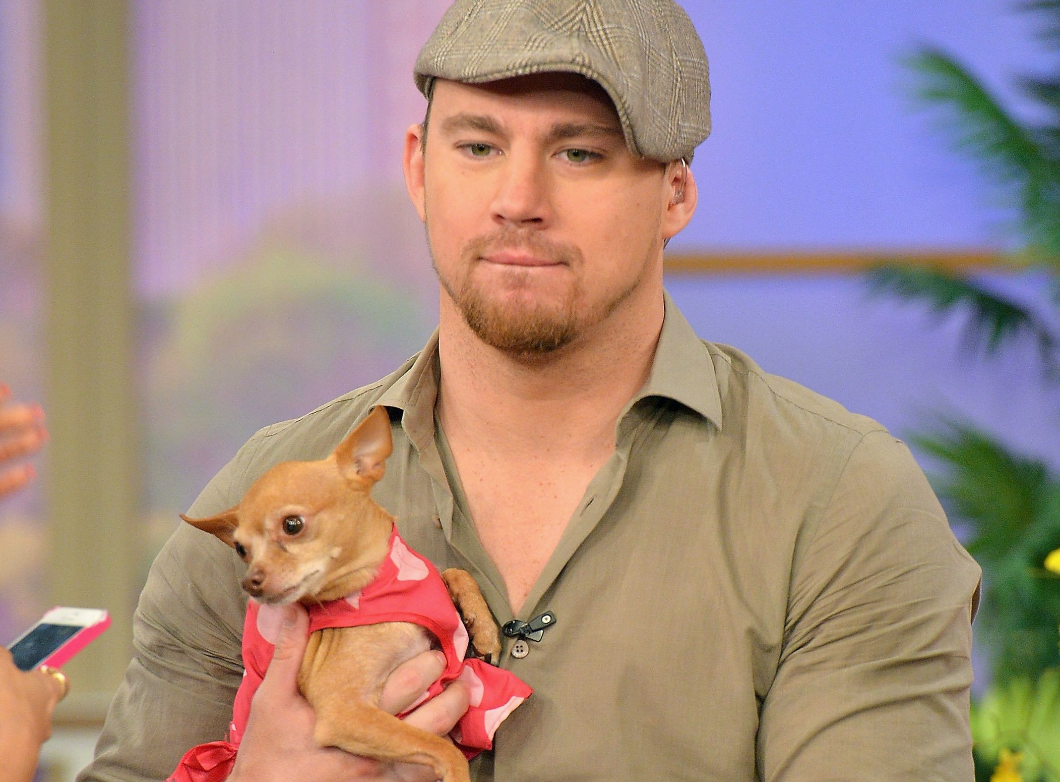 Channing Tatum in a green shirt and a hat holding a dog