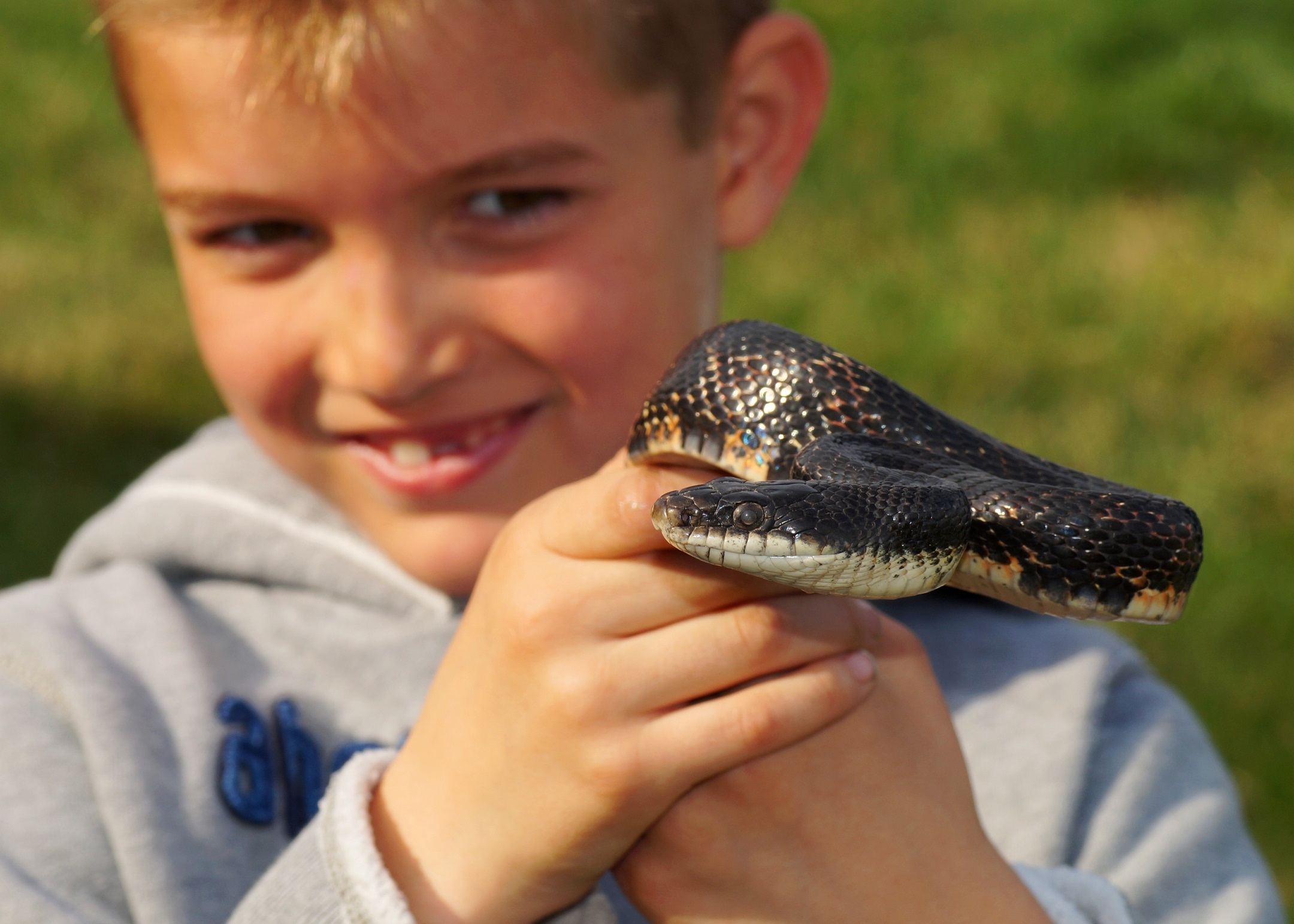 Snake held by a boy in his hands.