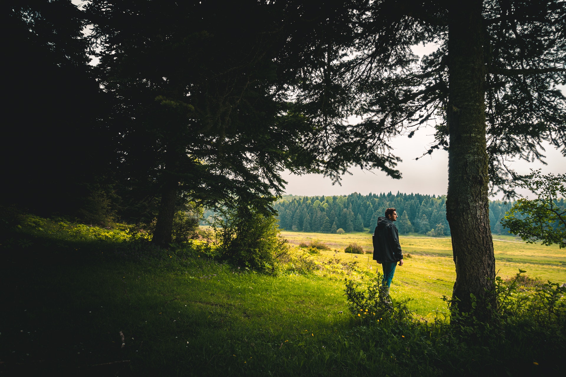 man in blue jacket  standing at the edge of a forest