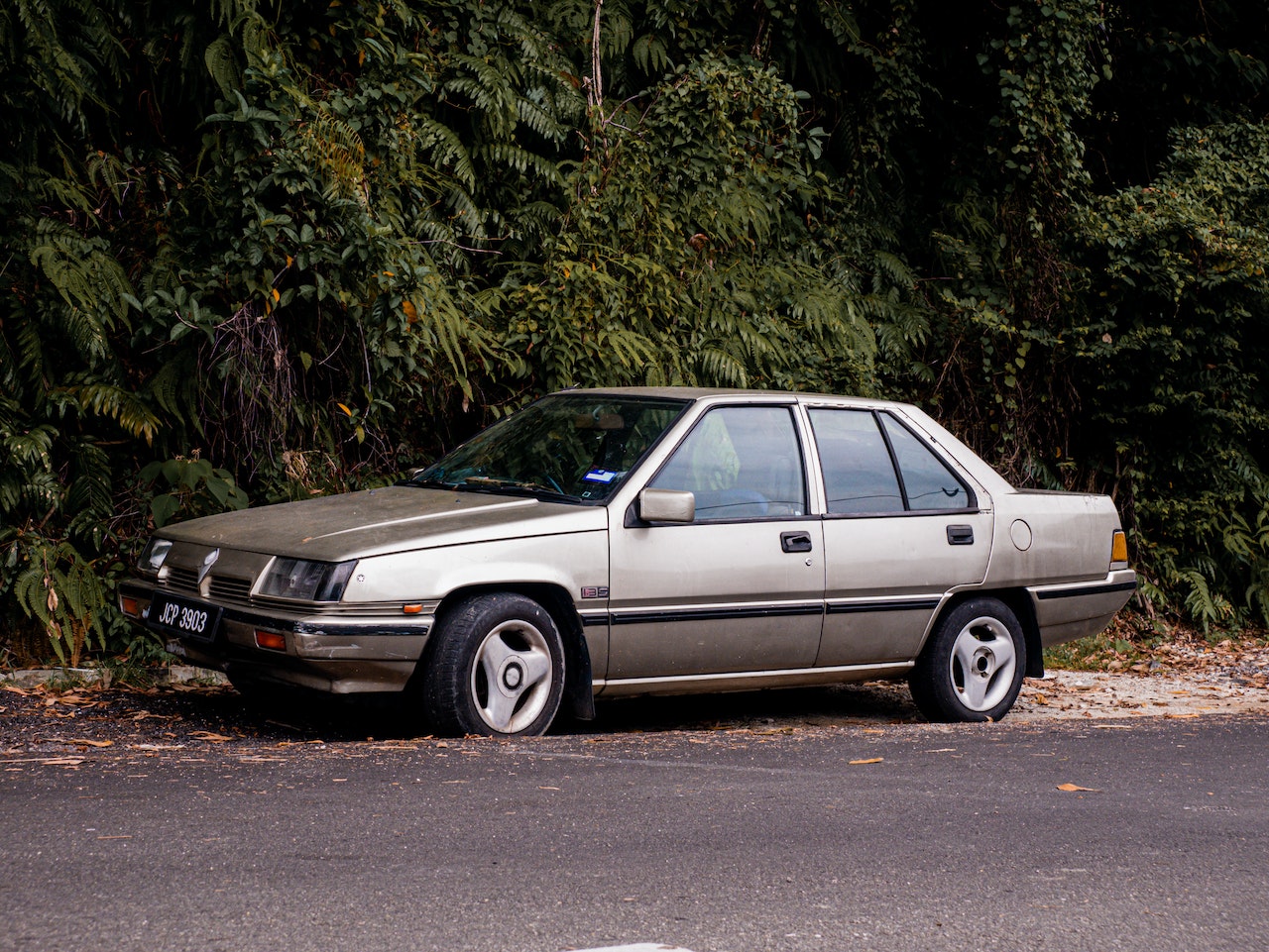 Photo of Beige car parked on the road by the woods.