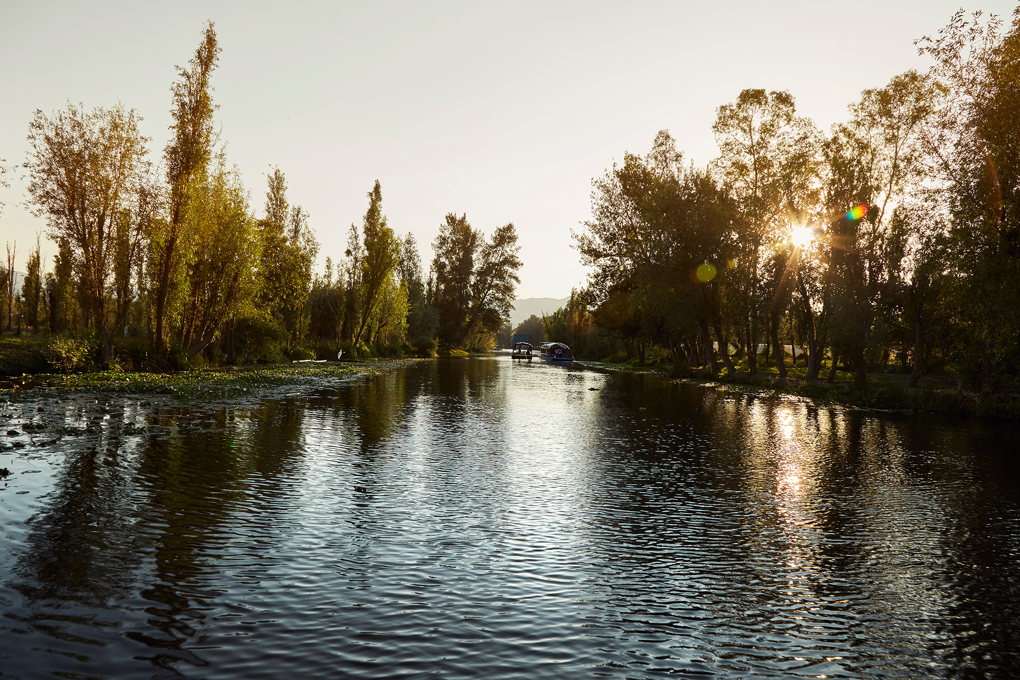 Xochimilco, Mexico City/Mexico--February 9, 2019. Morning in the Chinampa in Xochimilco, Mexico.