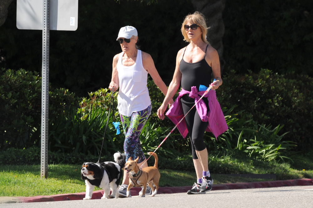 Goldie Hawn walks her dog in sports clothes