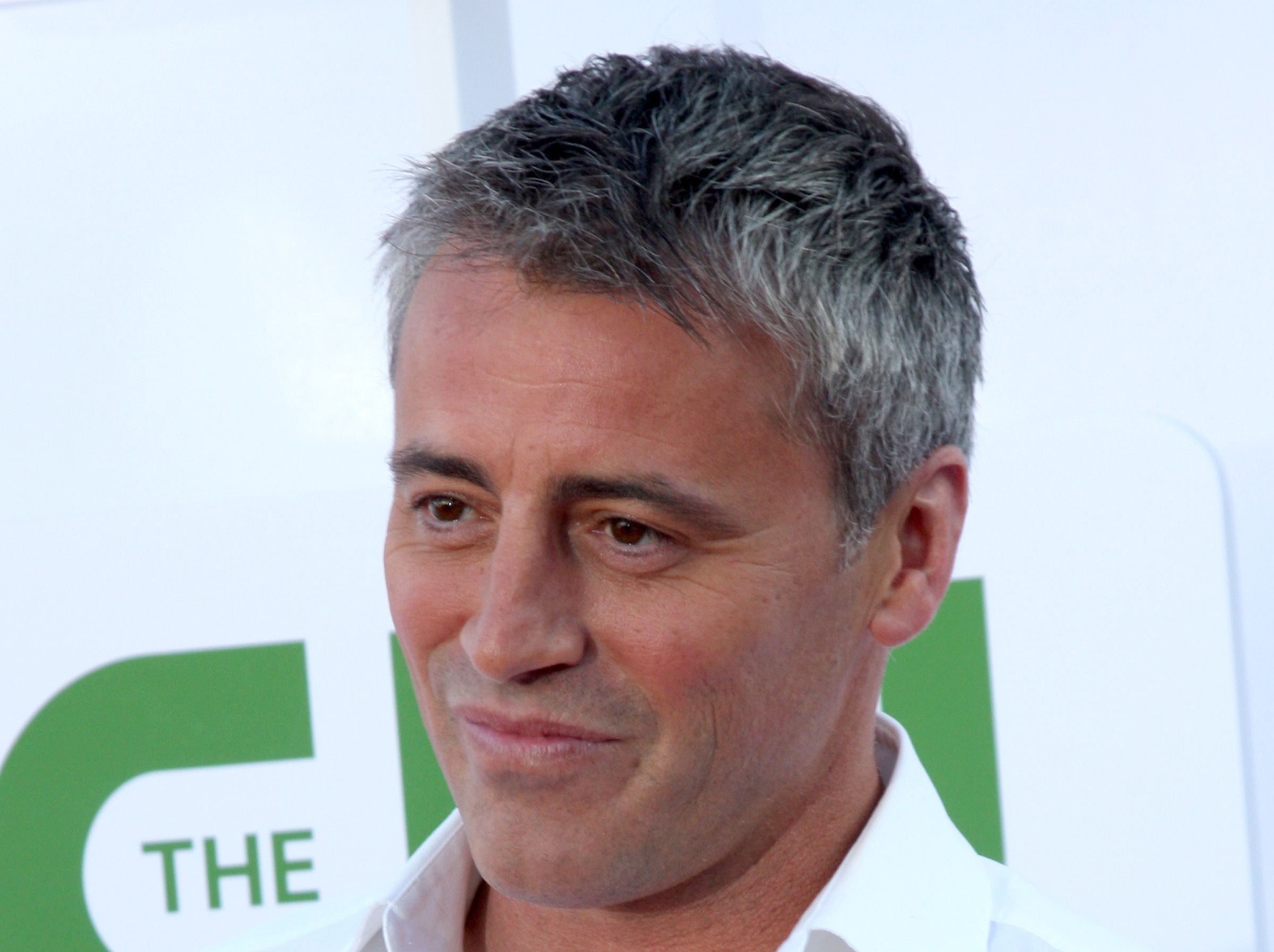 Matt LeBlanc wearing white shirt is looking at side and smiling to camera - 2012