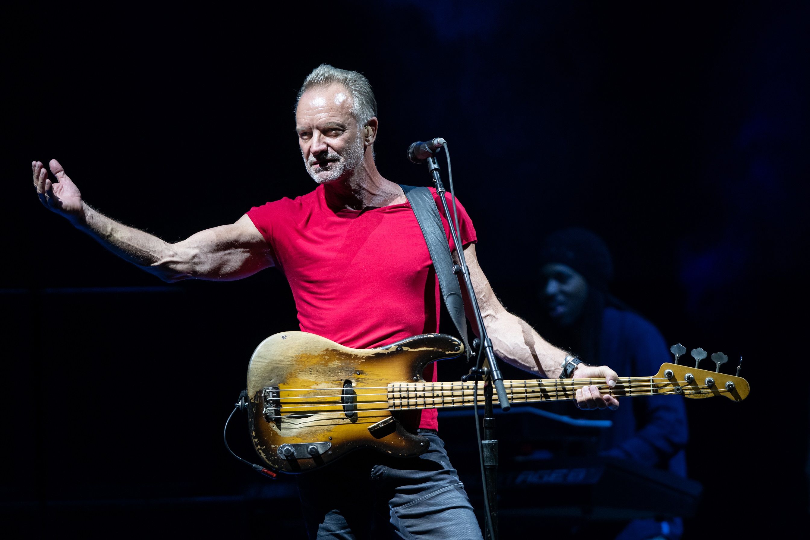 Sting wearing is looking at side - 2013