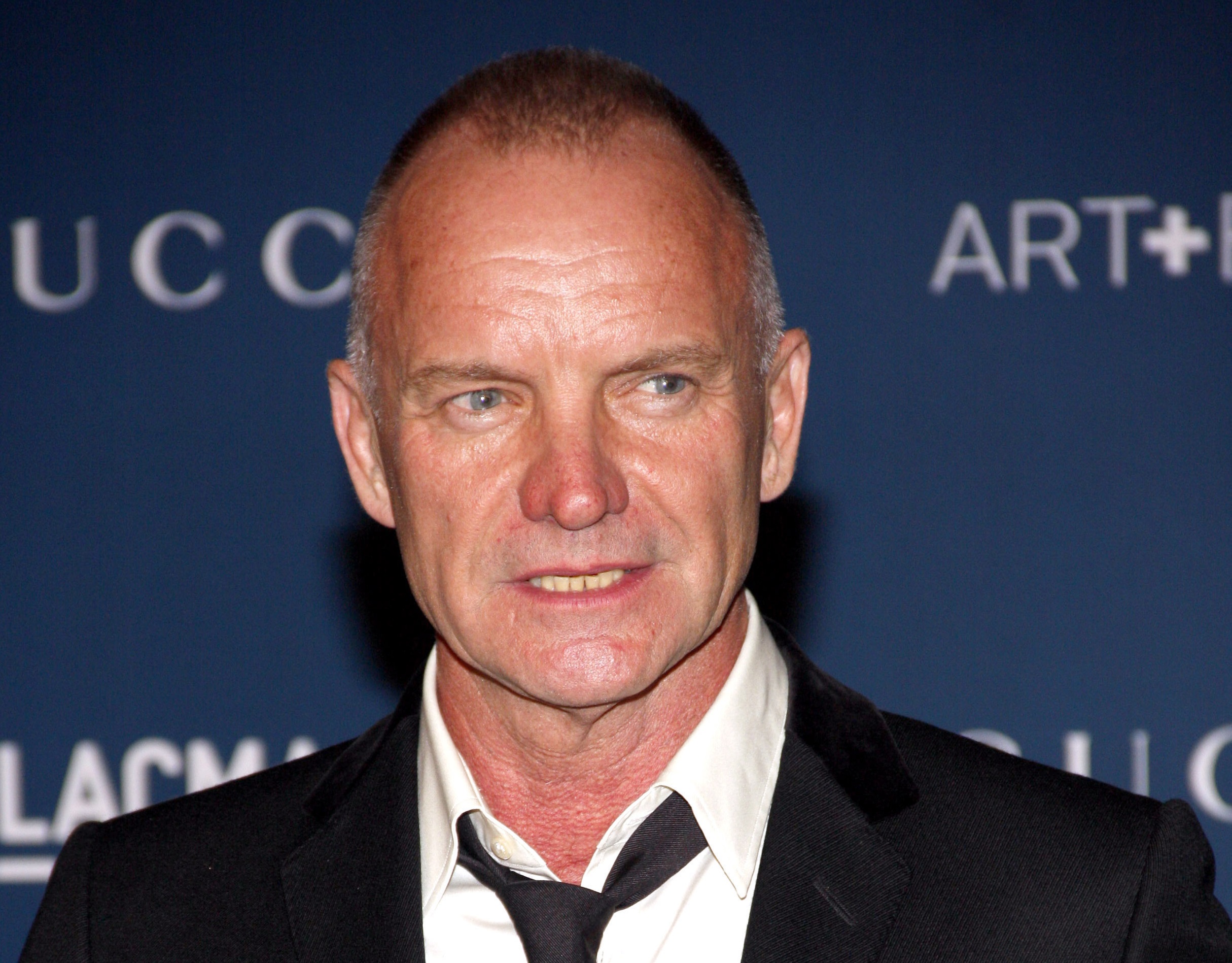 Sting wearing is looking at side - 2013