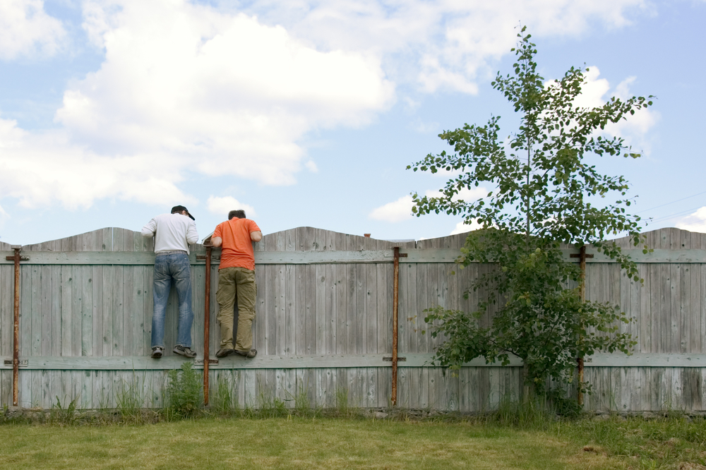 Photo of two boys on the fence