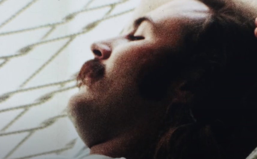 David Crosby in documentary movie , David Crosby: Remember My Name