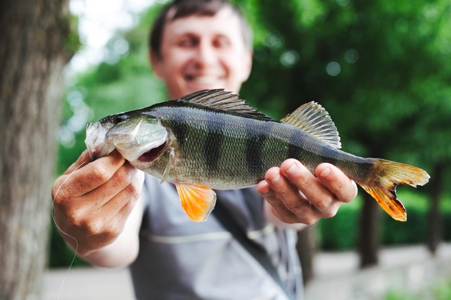 Close-up of man holding fresh caught fish in hands.