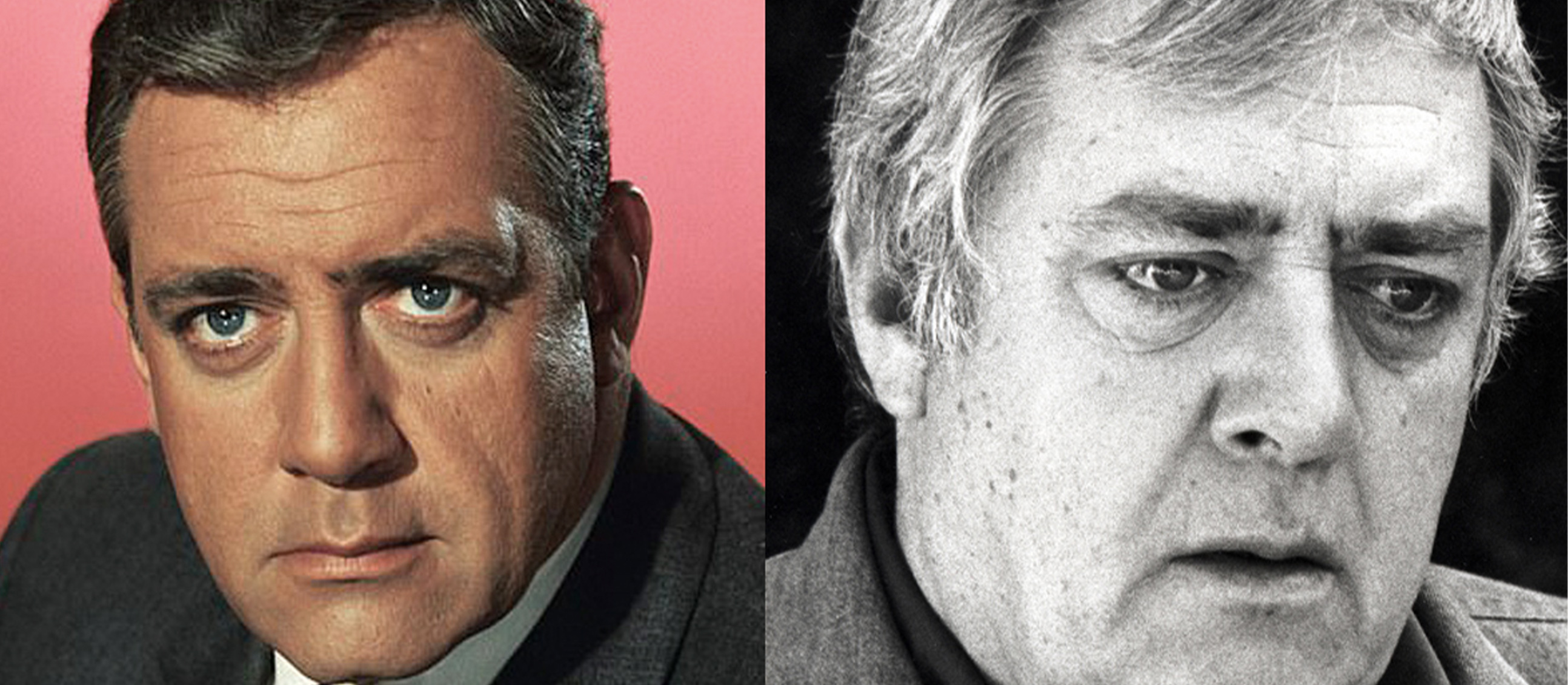 raymond burr