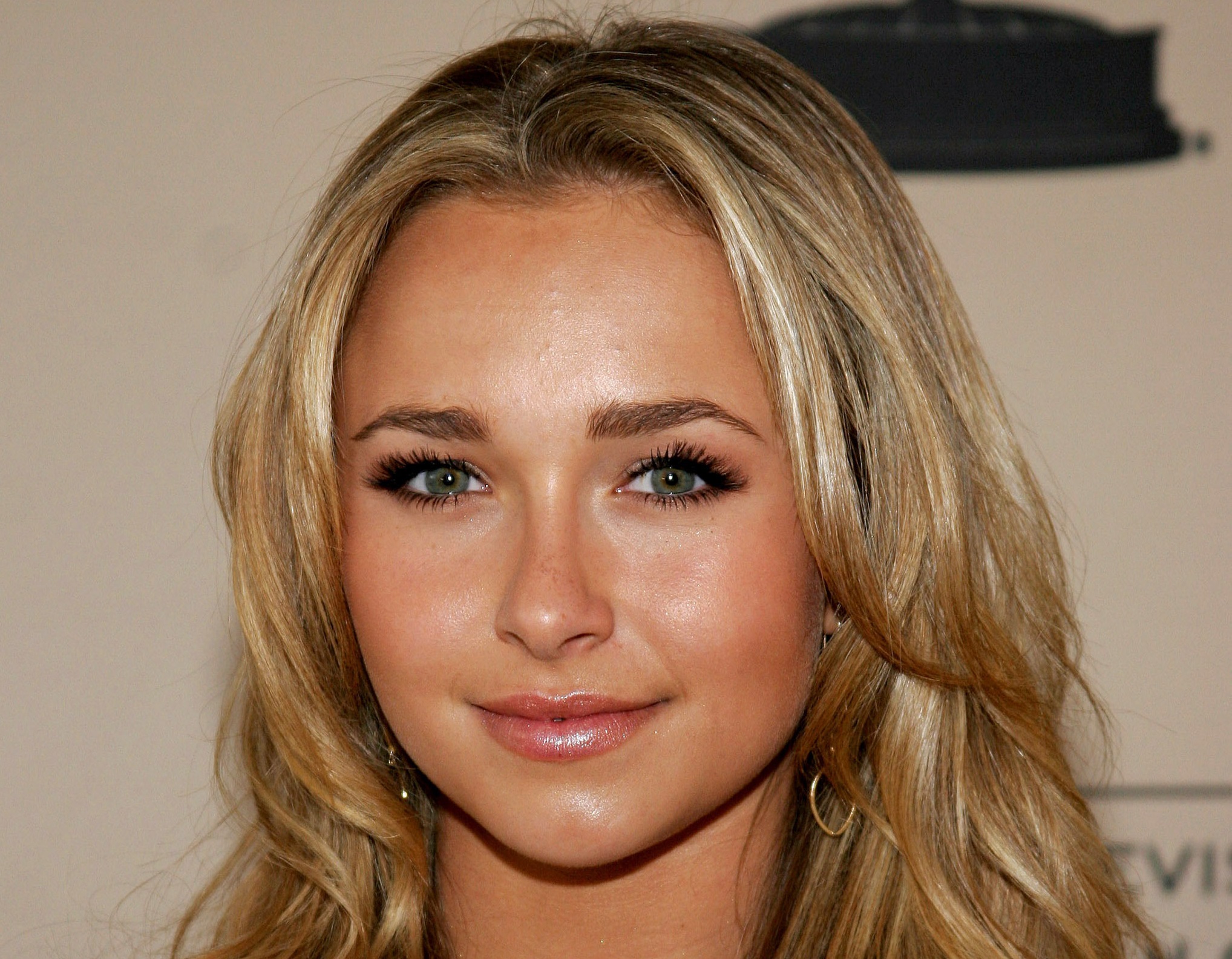 Hayden Panettiere attends the The Academy of Television Arts - 2007