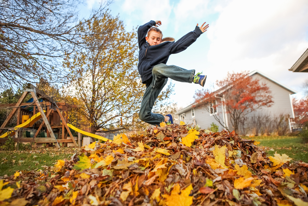 boy jumping in a leaf pile