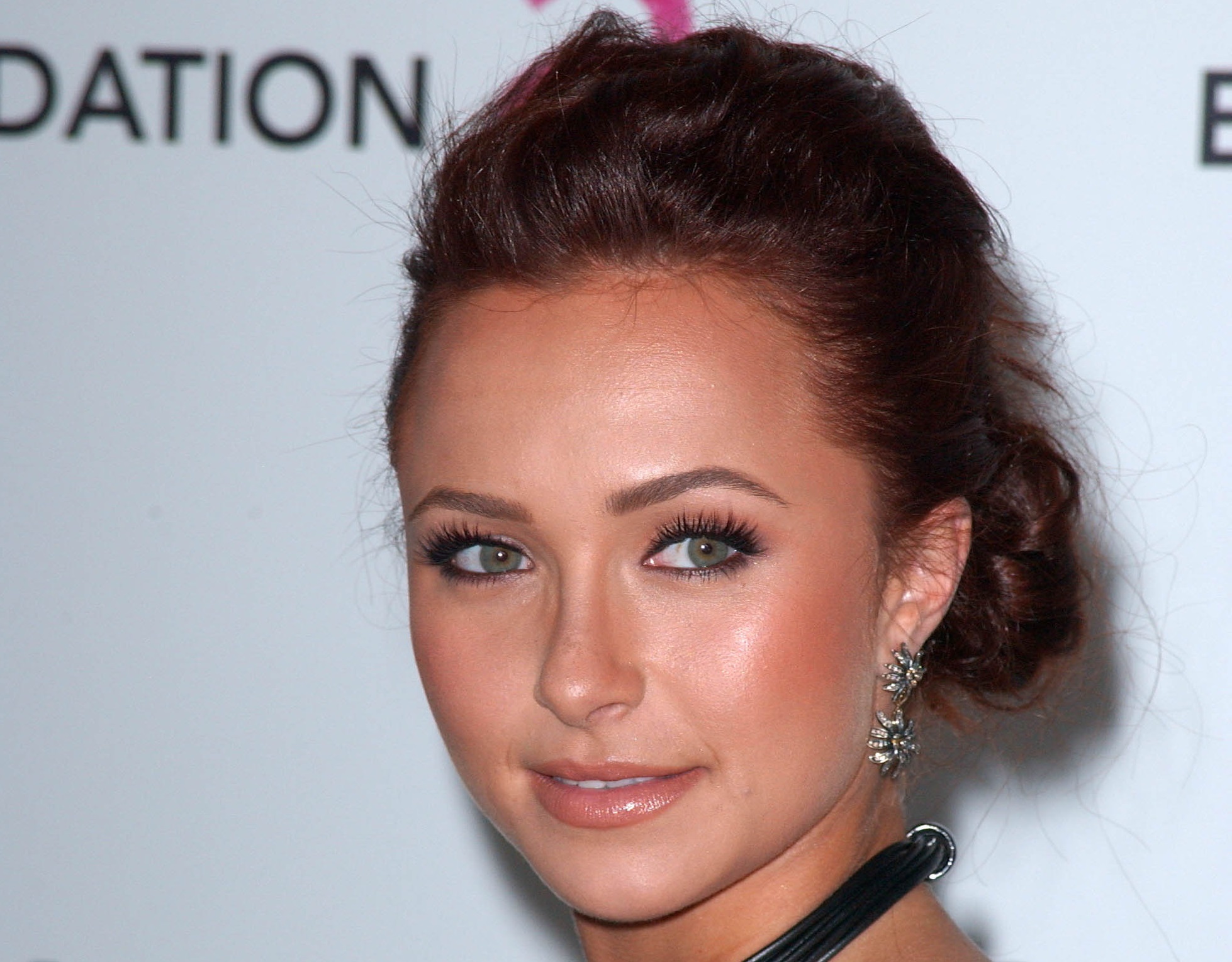 Hayden Panettiere with brown hair wearing brown dress looking a side and smiling - 2010