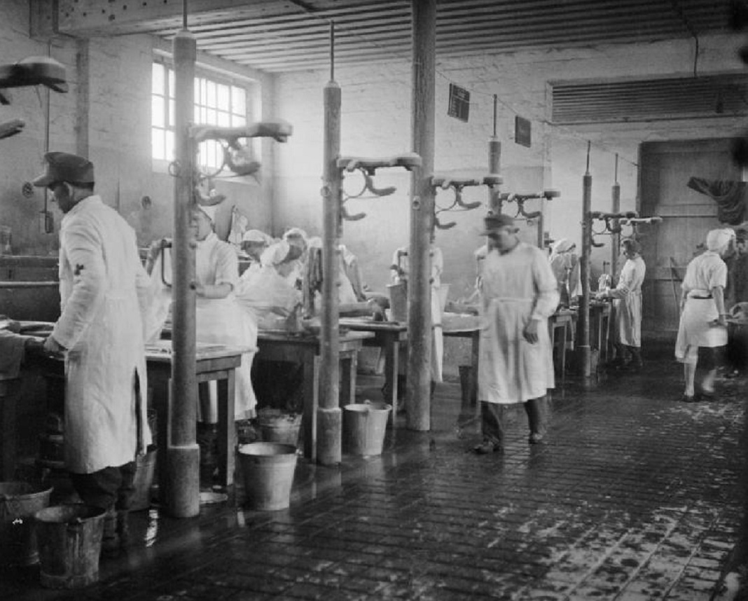 Bergen Belsen - cleansing station, nicknamed the 