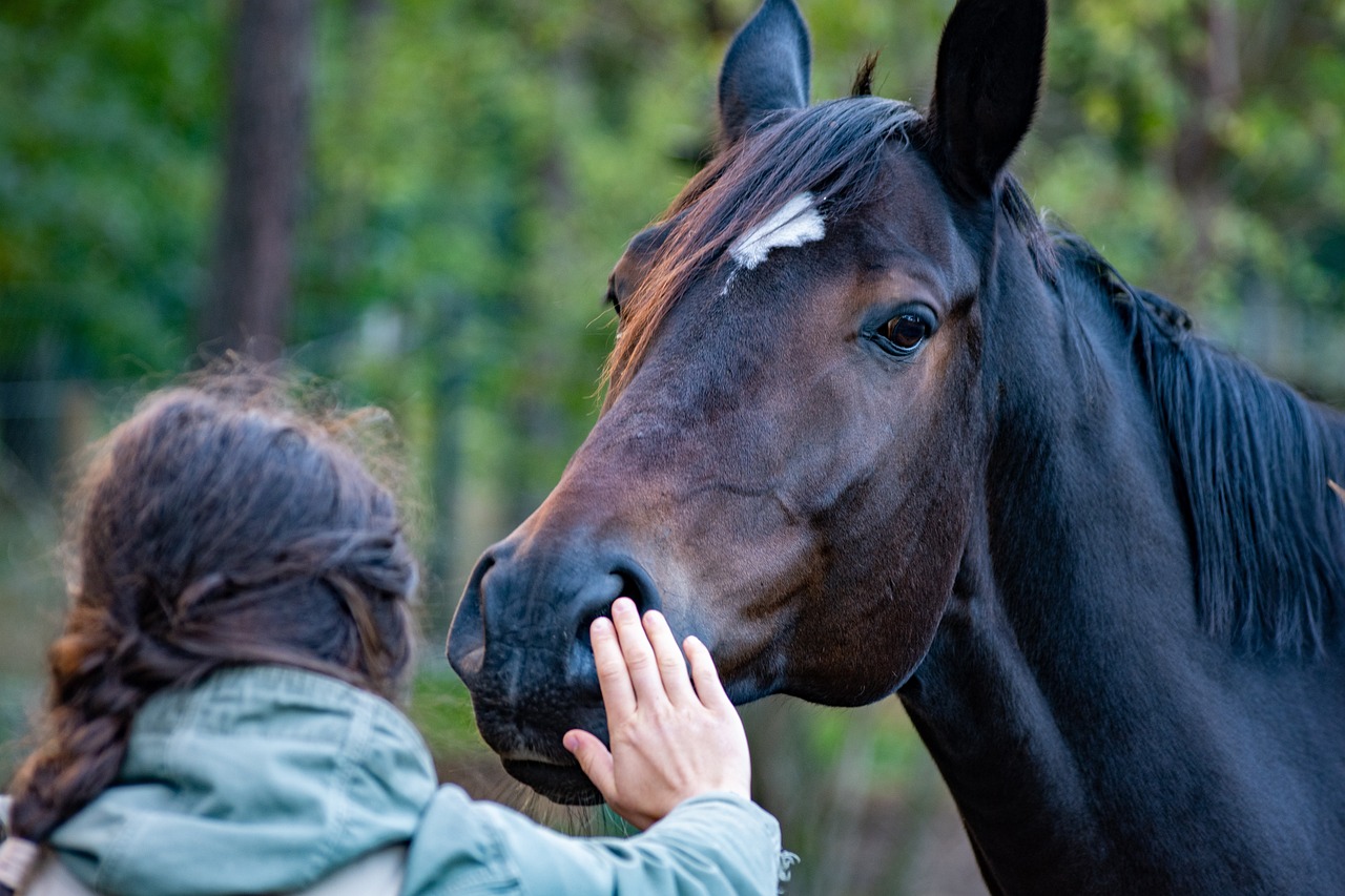 Woman petting a horse in blue jacket