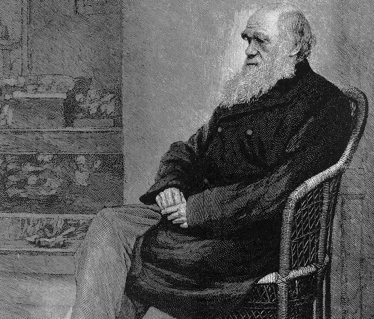 Charles Darwin sitting on a chair  in a coat