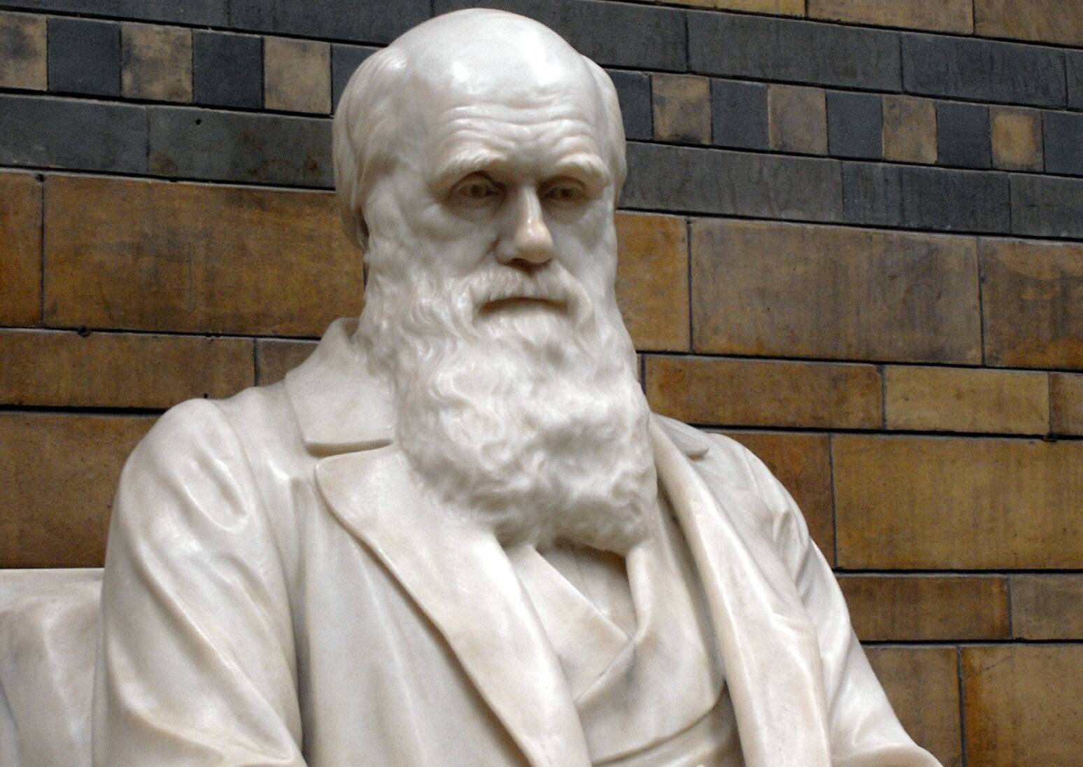 Statue of Charles Darwin in the Natural History Museum, London