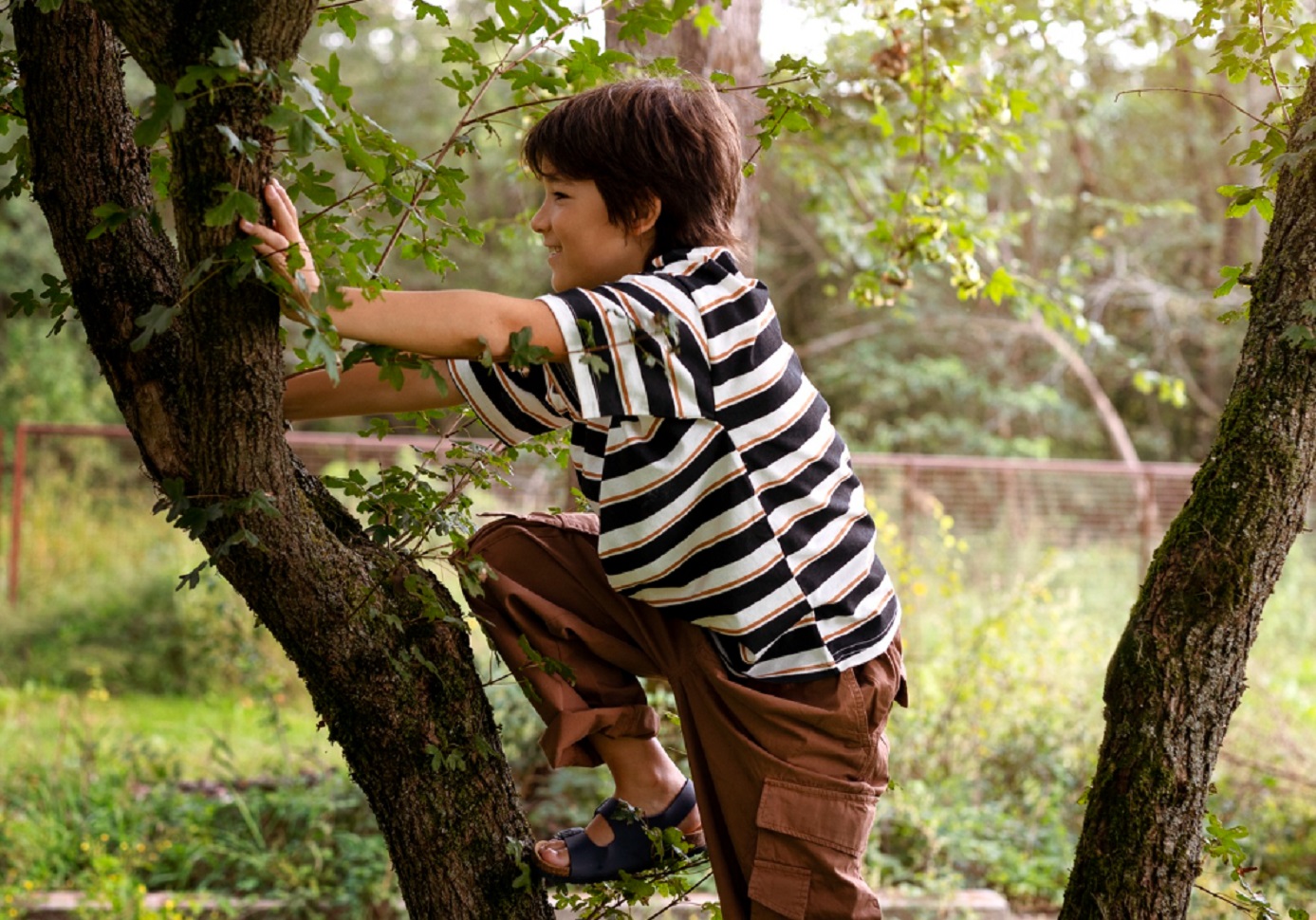 Kid is climbing on the tree.