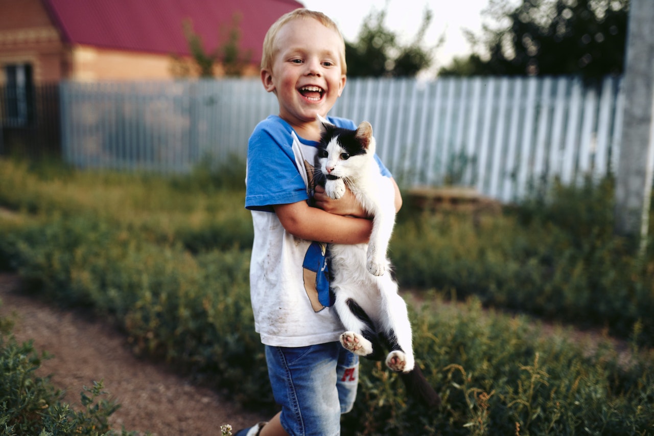 Young kid is holding a cat in his hands and smiling.