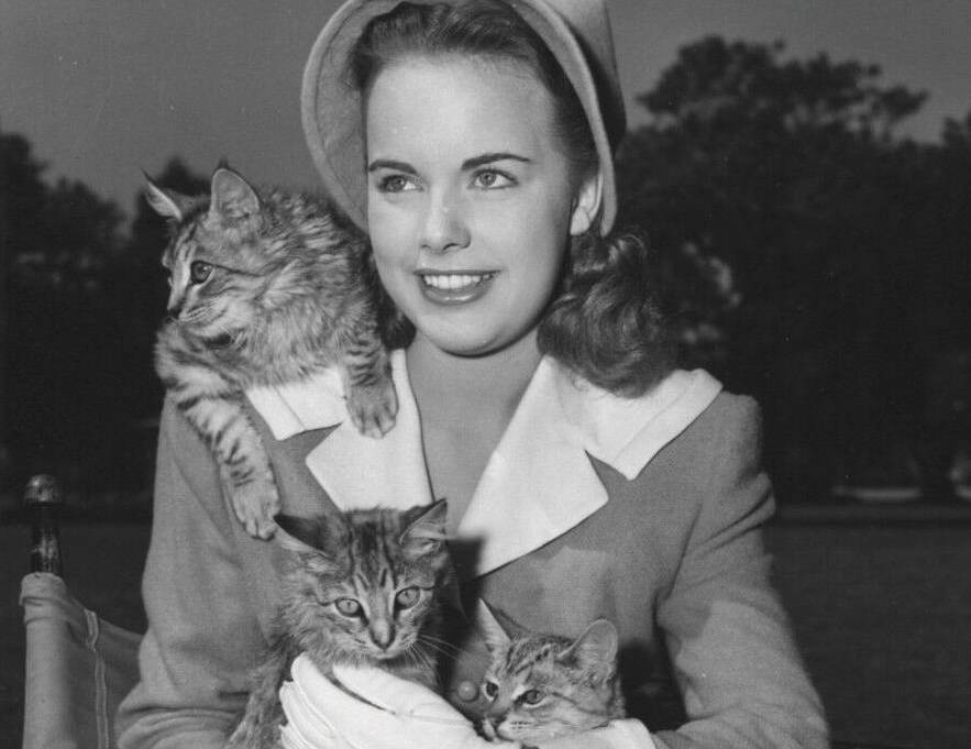 Photo of Terry Moore in 1947 in jacket and hat holding cats