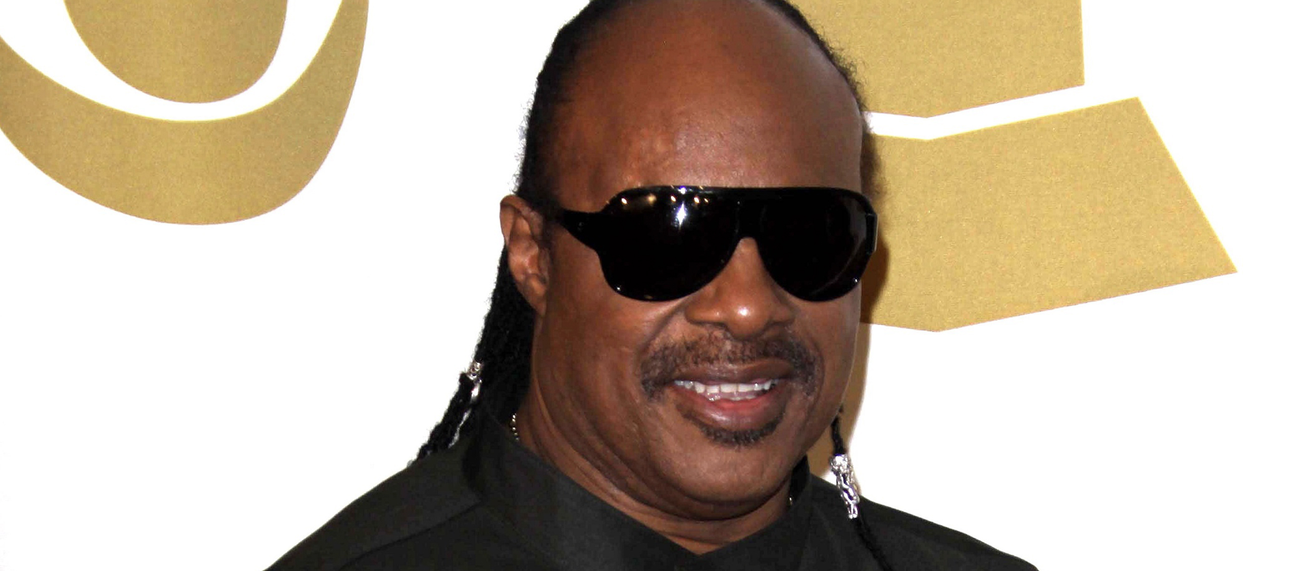 stevie wonder