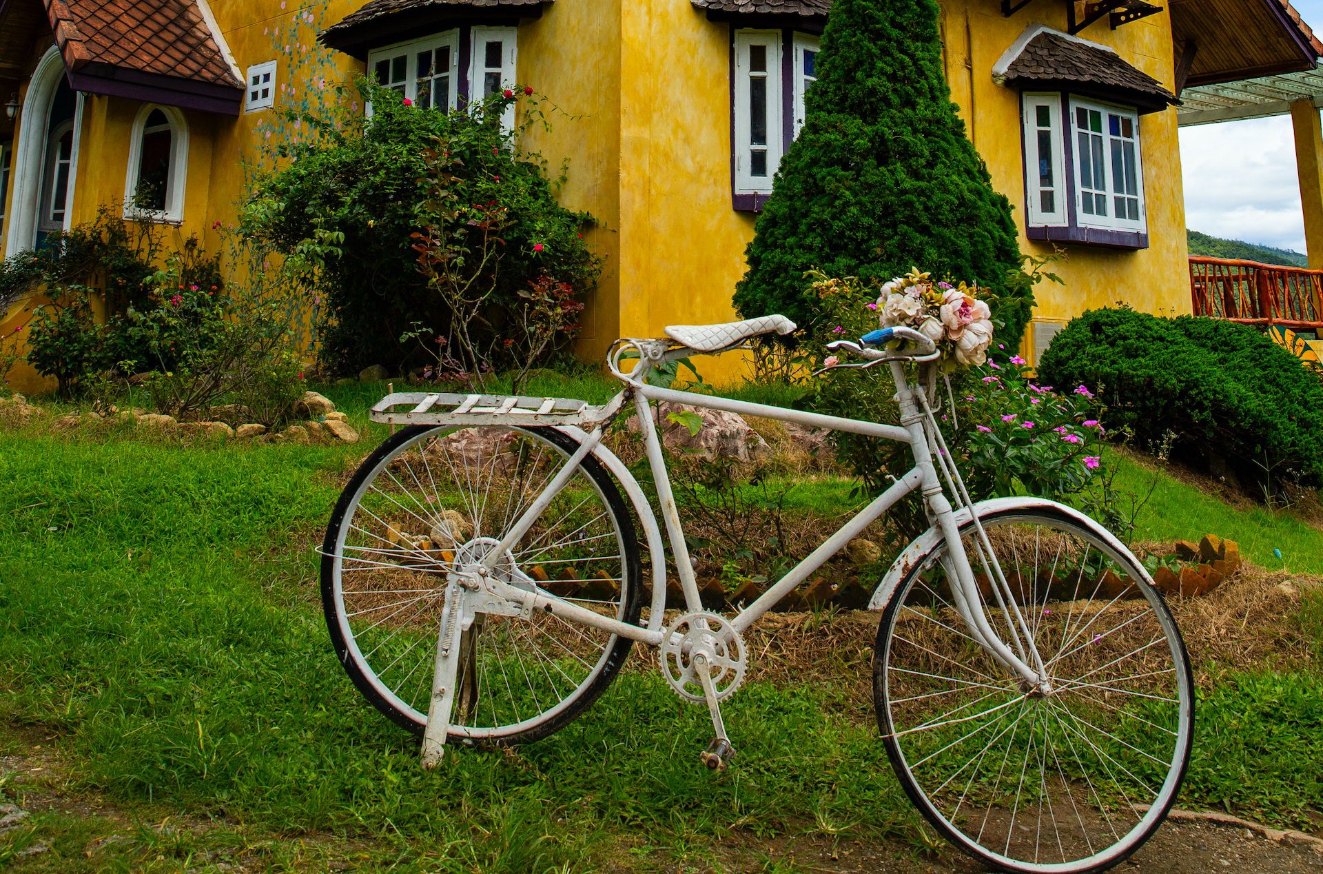 bicycle in yard