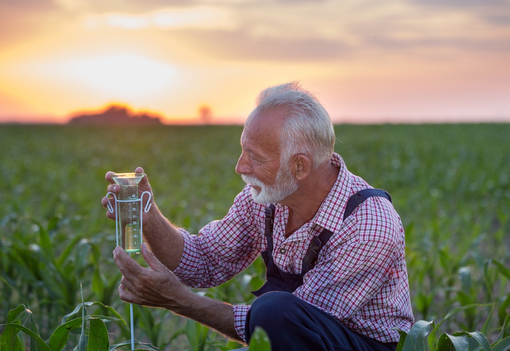 Senior farmer squatting beside rain gauge in corn field