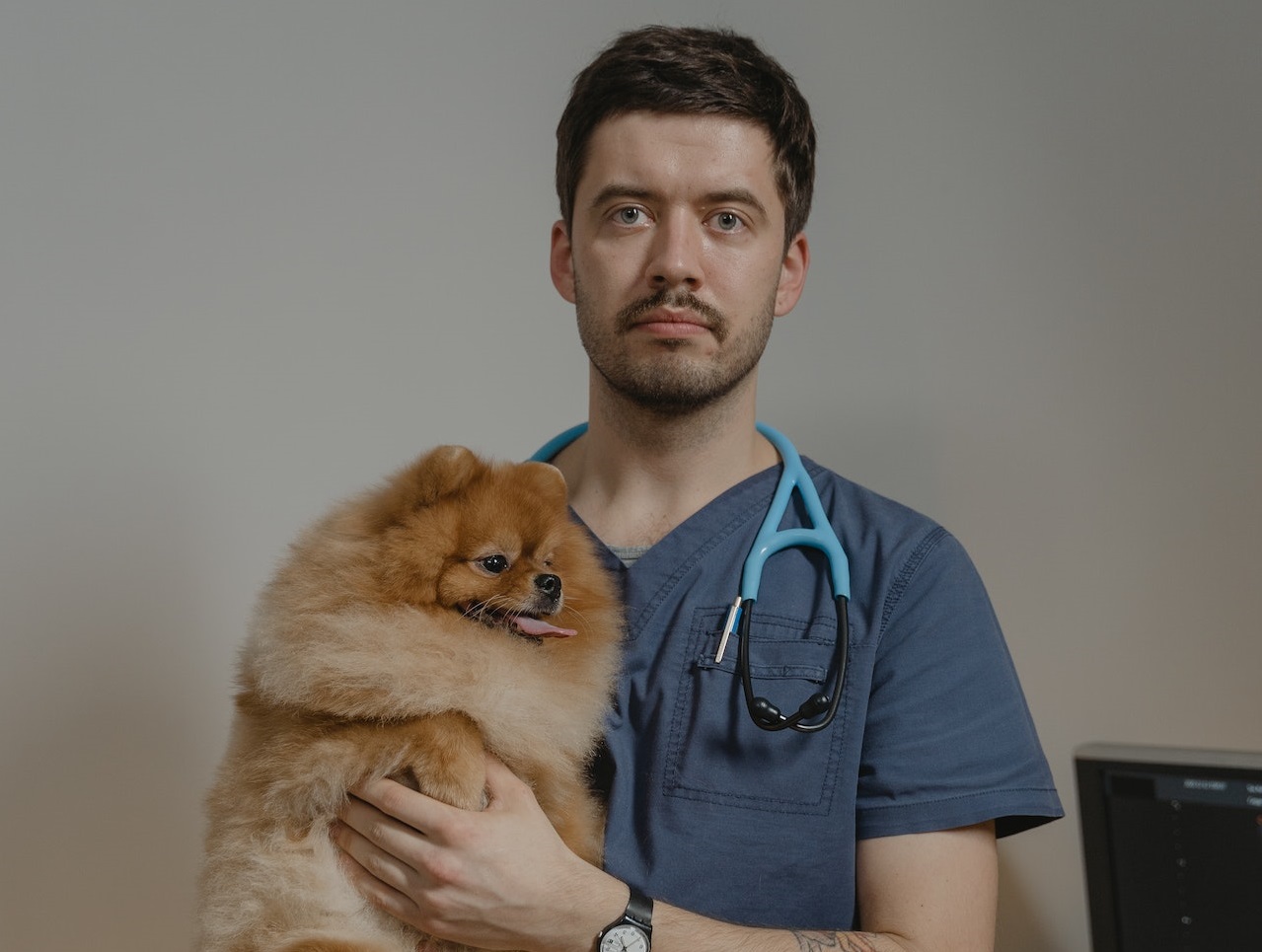 A veterinarian is carrying a small dog in his hands and looking at camera.