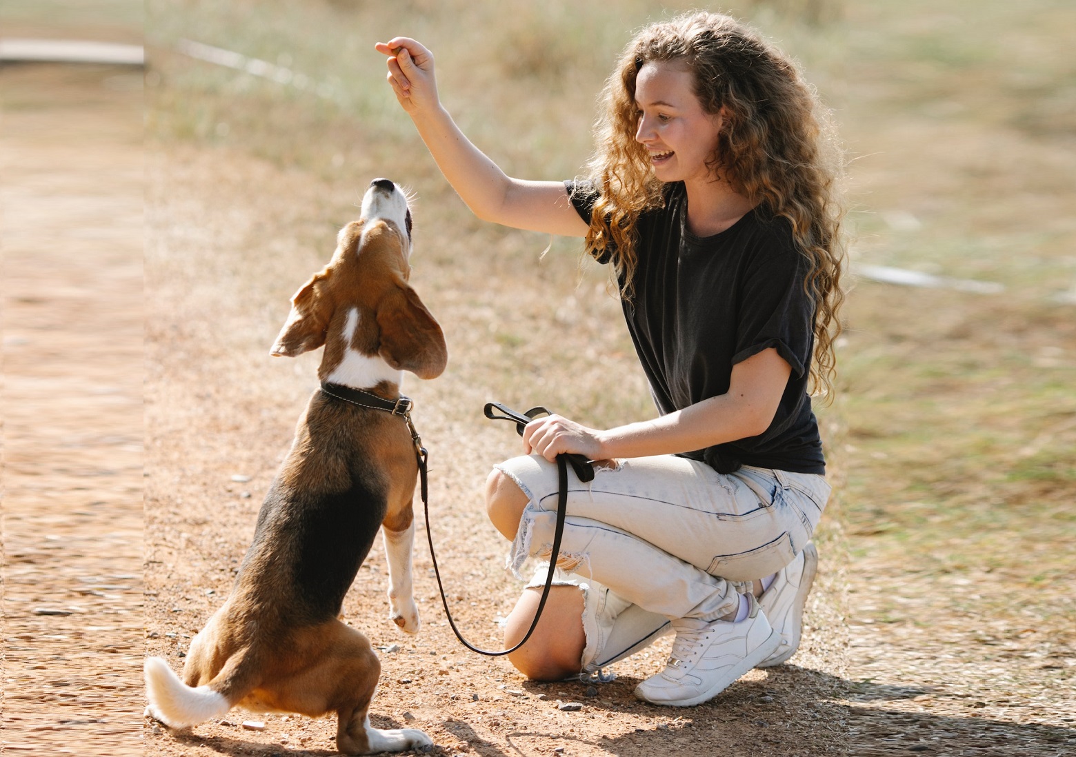 Young girl is smiling and giving food to a dog outside.
