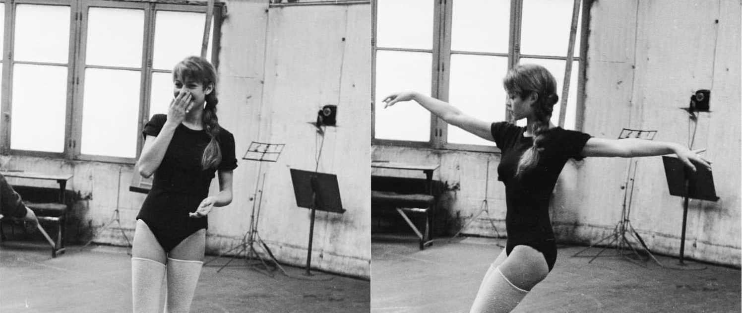 Brigitte Bardot Facts