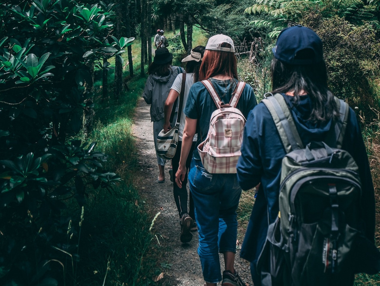 Young kids are walking on a trail in to the woods.