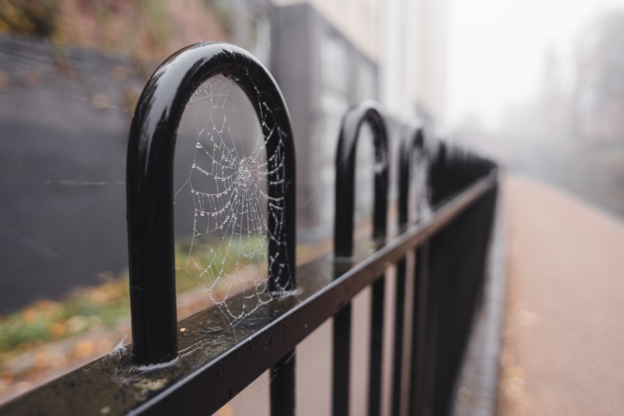 Black metal fence with spider web on it outside.