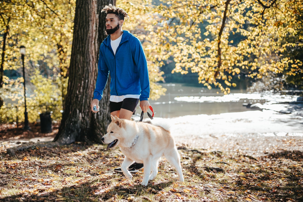 Young black man wearing blue hoodie is walking with dog in the park.