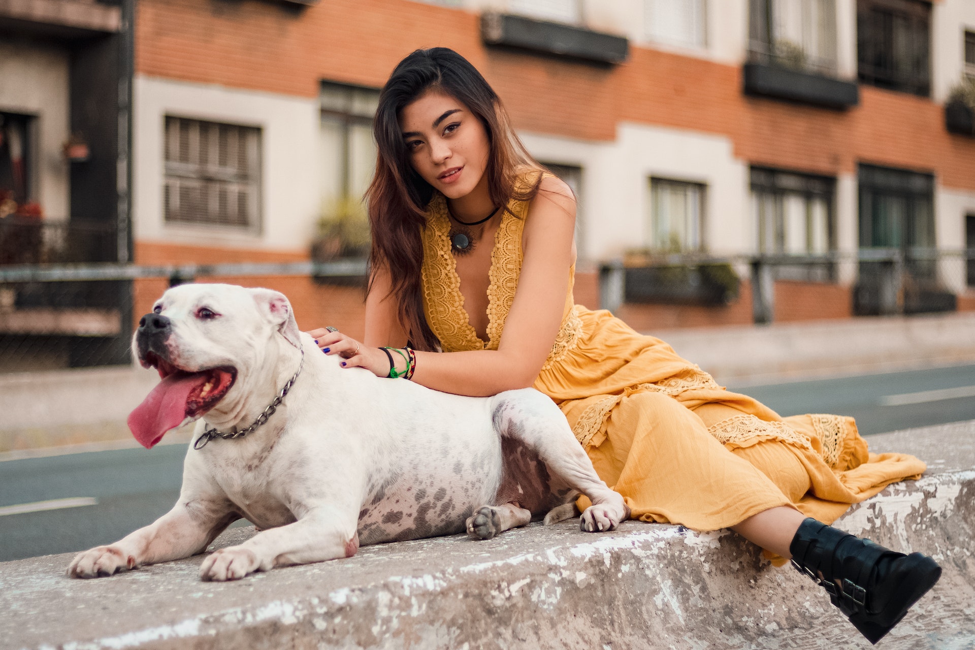 photo of woman sitting on concrete barrier next to short coated white dog