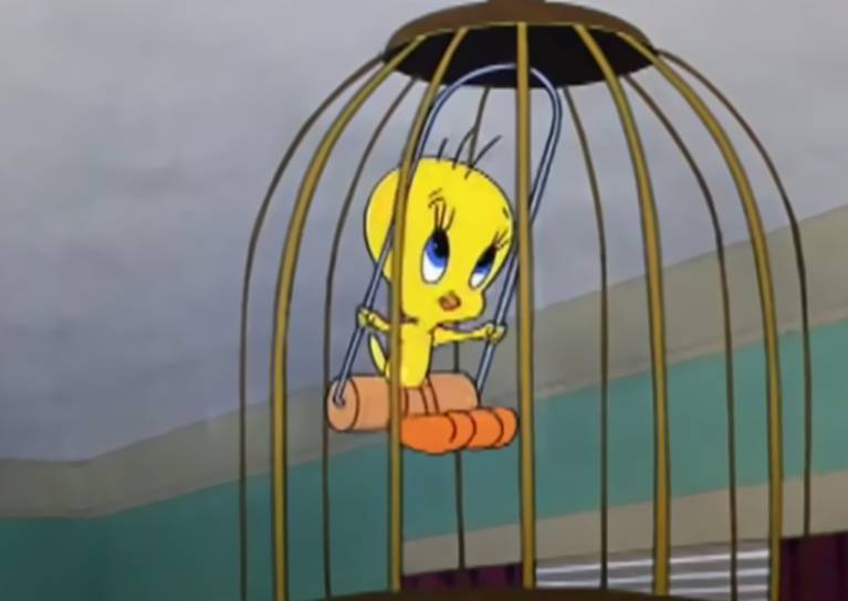 Tweety in cage swinging on a swing