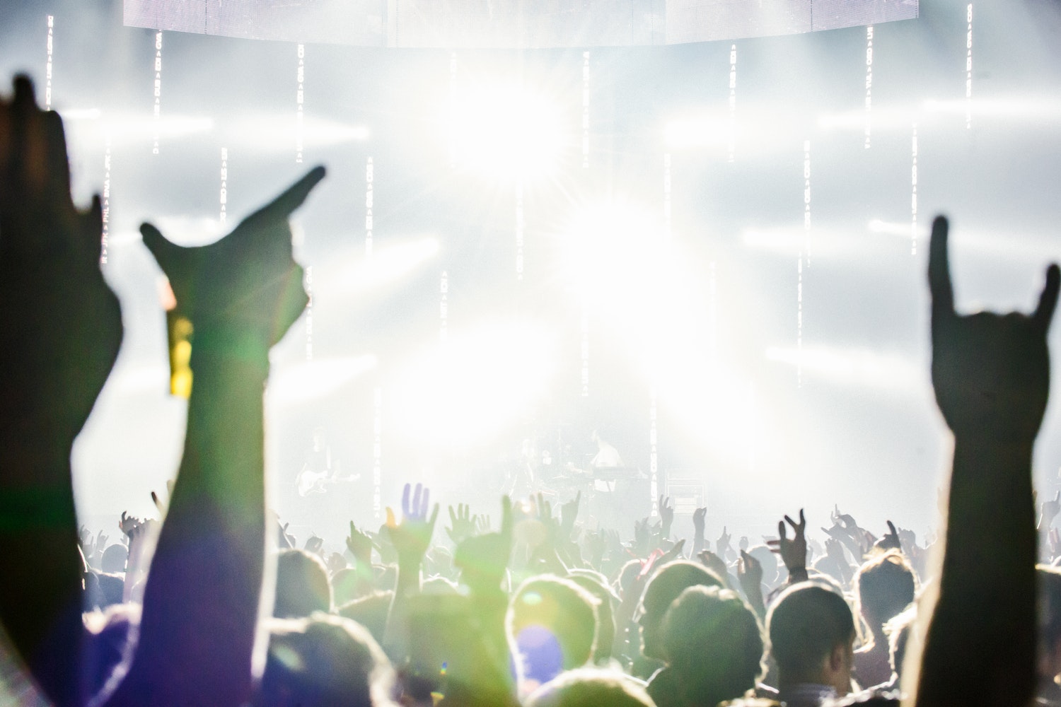 Audience At A Concert