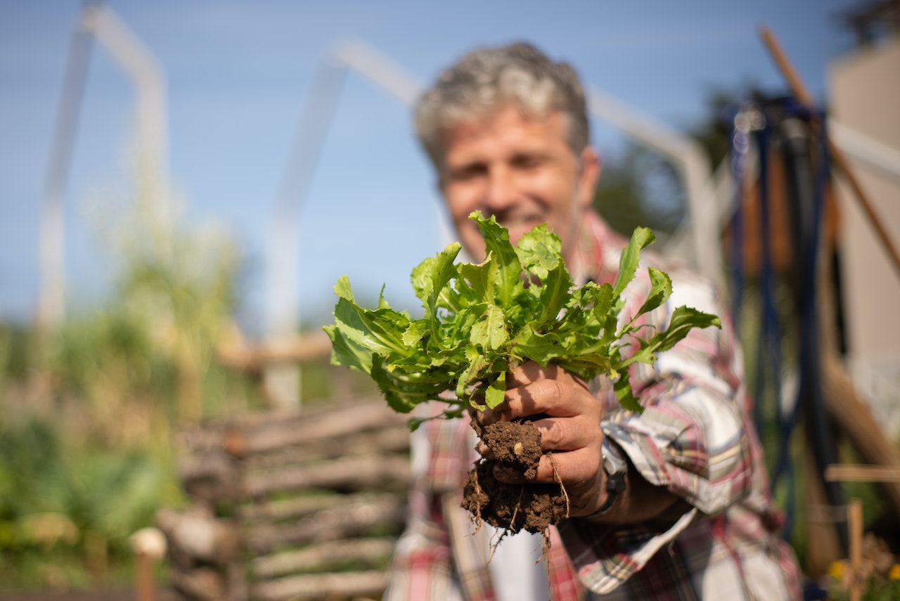 Man in background is holding a plant with roots in his hand.