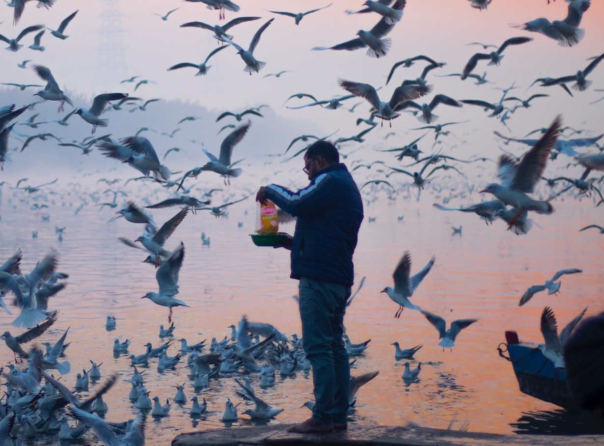 Man is feeding the seagulls.