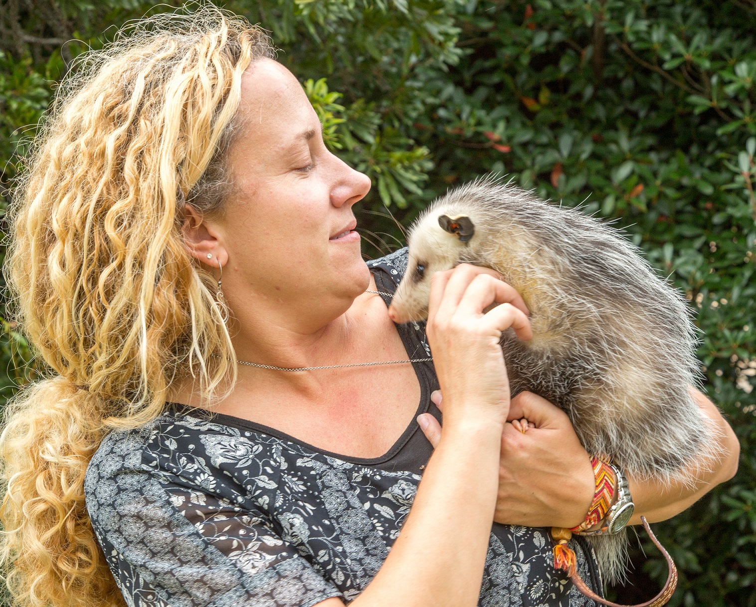 Woman is holding a opossum in her hands.