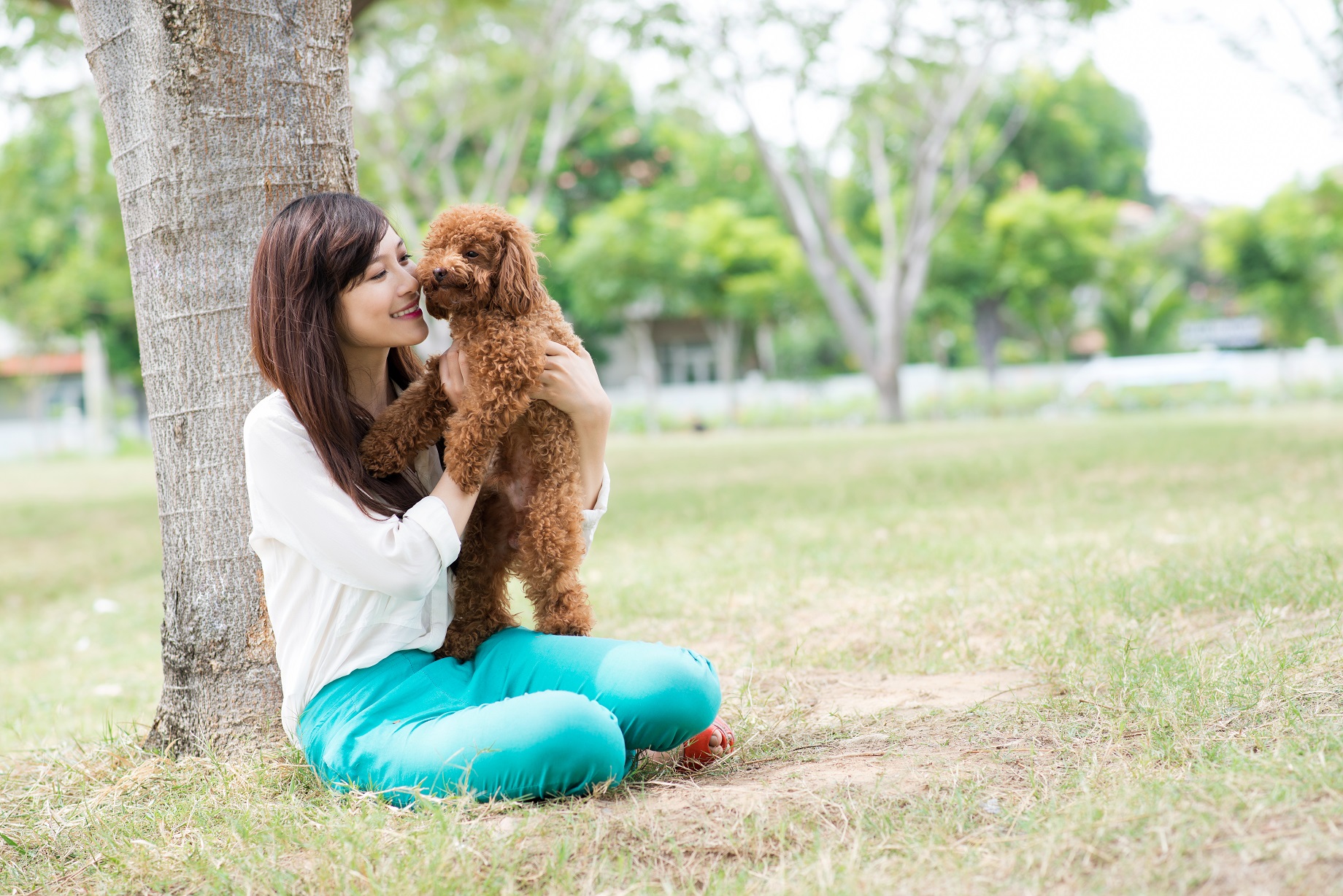 Woman is seating in the park with poodle.