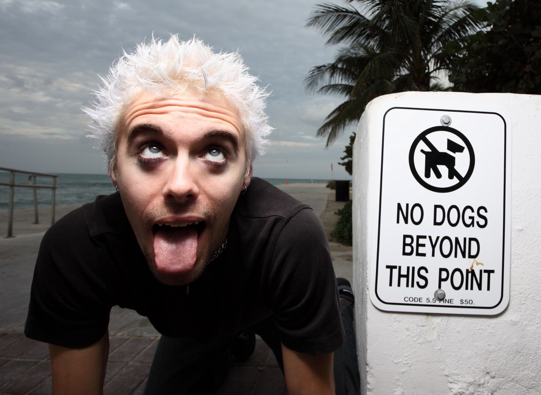Man wearing black shirt and white hair is acting like a dog.