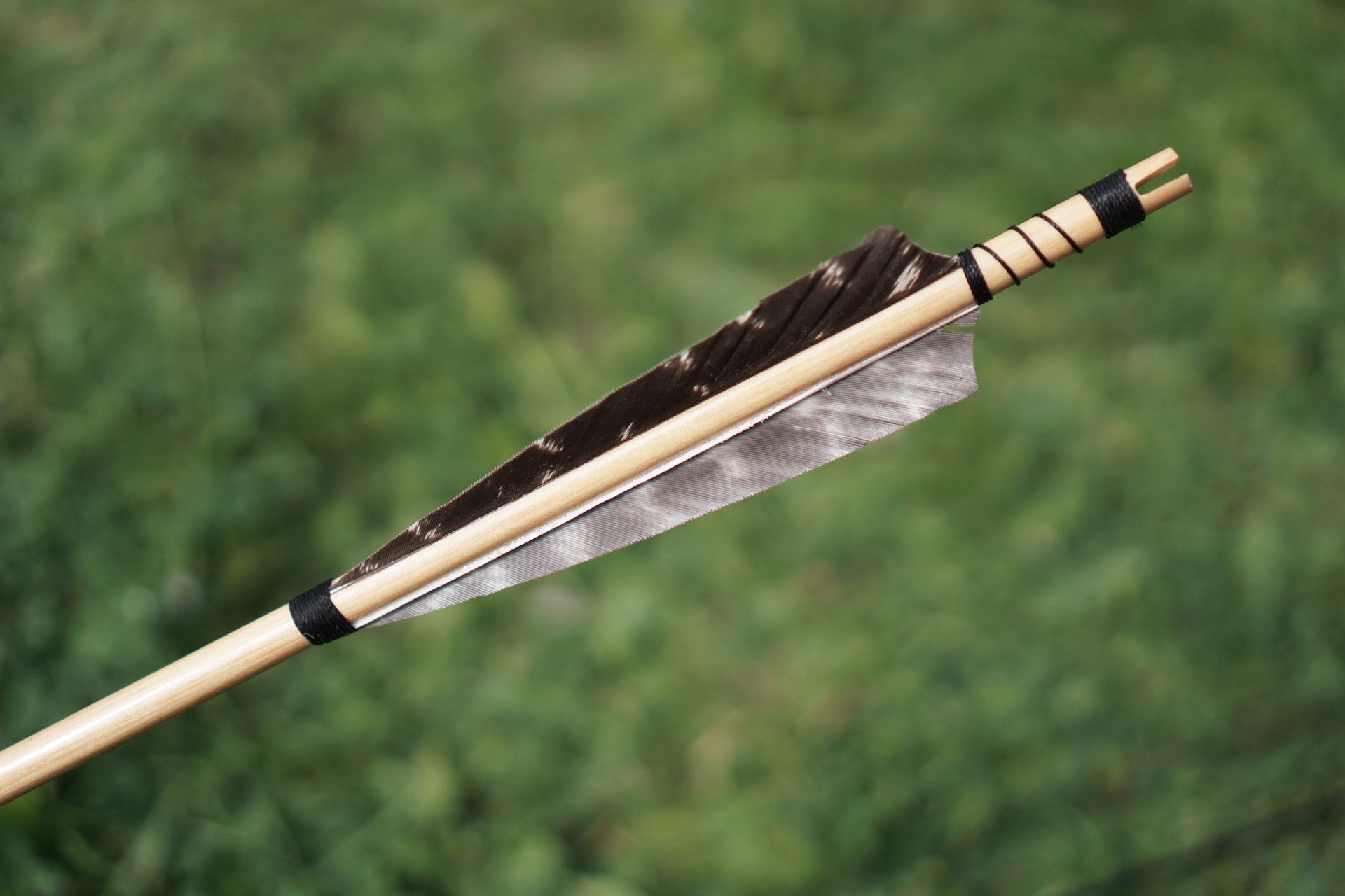 feather arrow