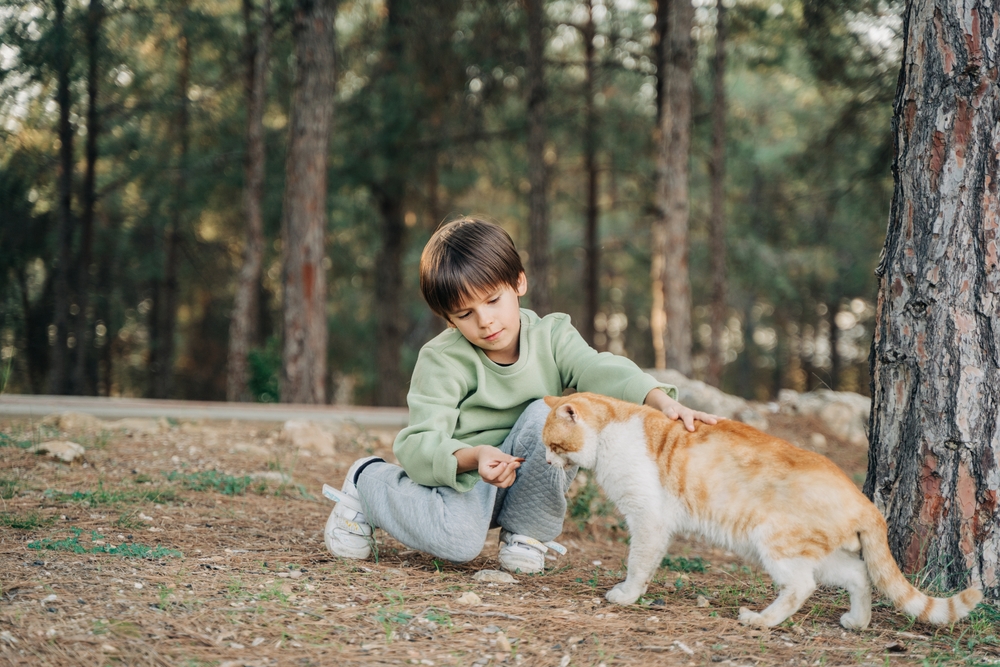 Elementary school kid in green sweatshirt petting feeding a stray cat