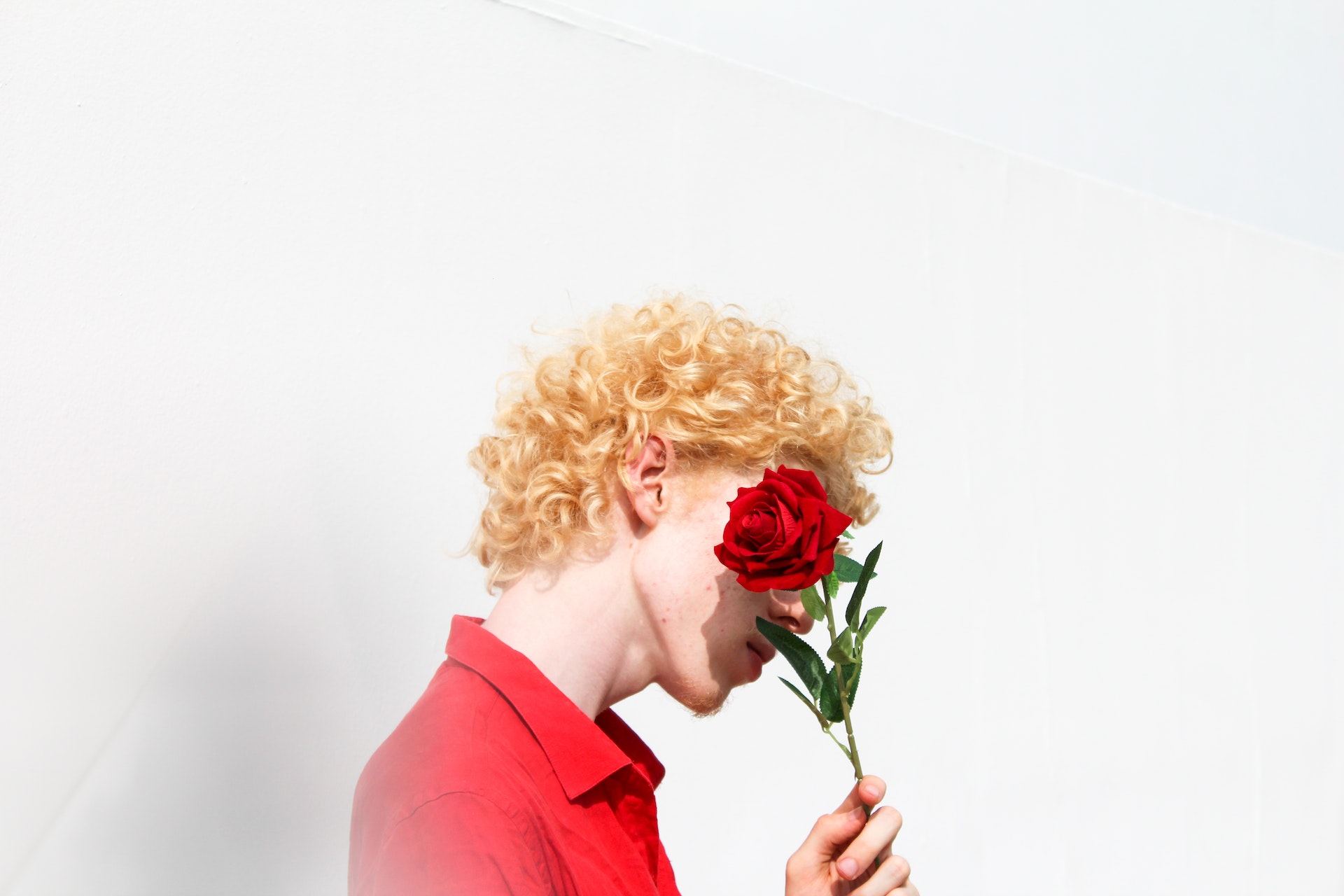 man in red shirt holding a rose