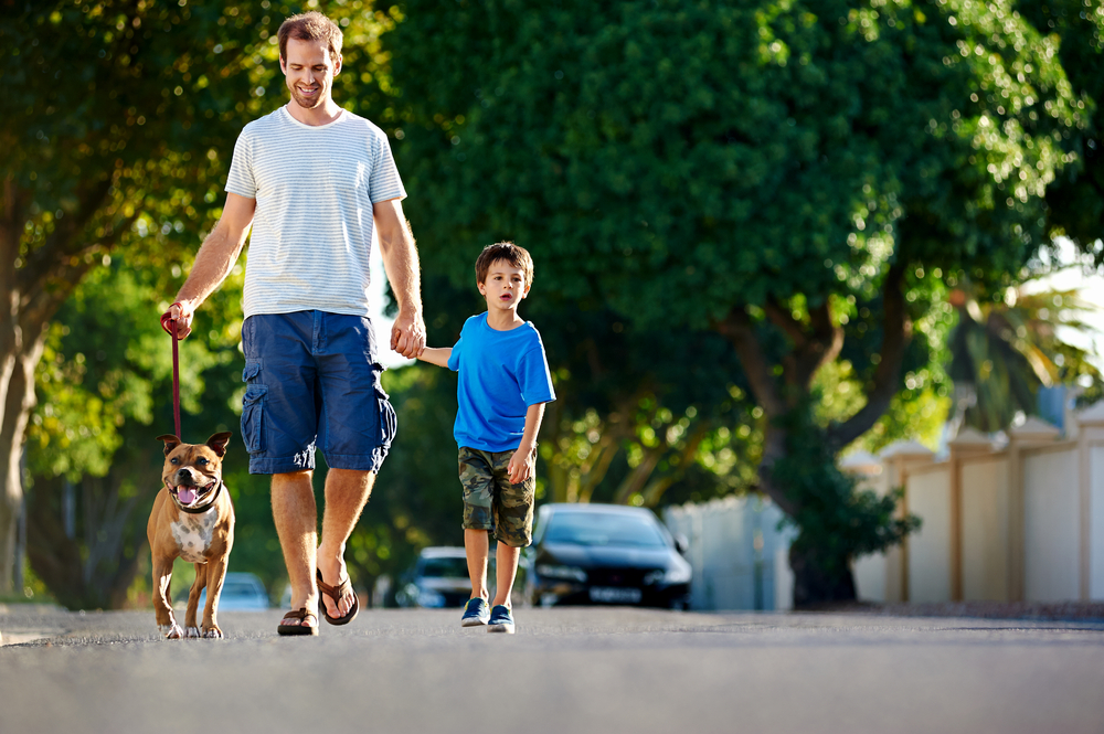 A father walking with his dog and his son